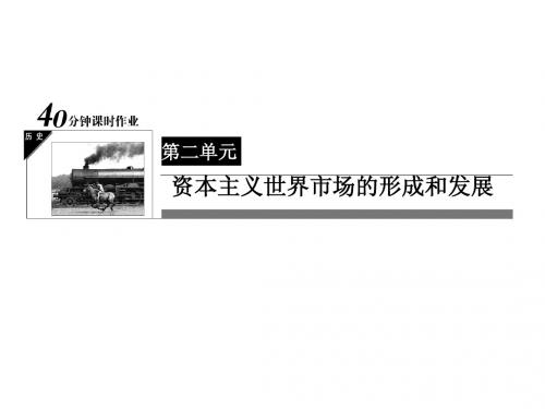 人教版历史必修二：2-6《殖民扩张与世界市场的拓展》ppt课件