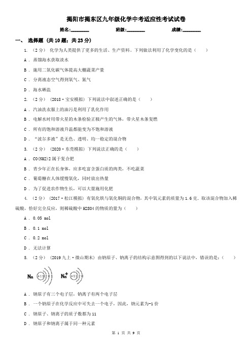 揭阳市揭东区九年级化学中考适应性考试试卷
