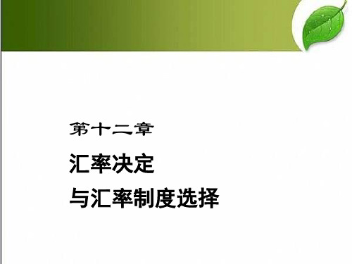 汇率决定与汇率制度选择 PPT课件