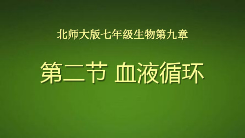 北师大版七年级生物下册单课件-血液循环(4).pptx