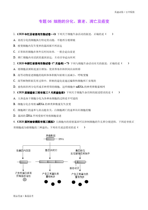 2020年【生物】真题和引申：细胞的分化、衰老、凋亡及癌变-分项汇编-普高校招全国统一考题(学生版)