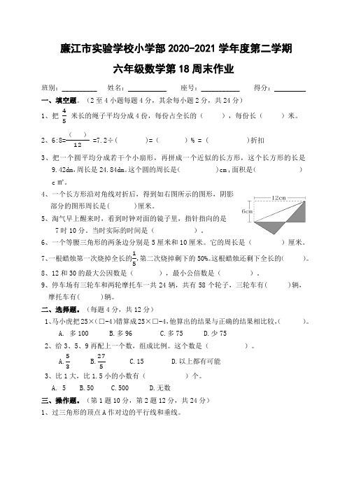 广东省廉江市实验学校2021届六年级下学期数学第18周周末作业