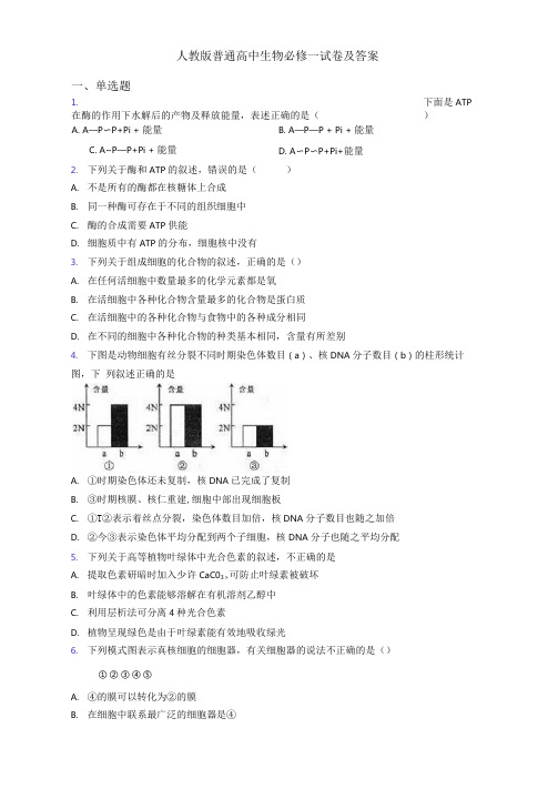 人教版普通高中生物必修一试卷及答案