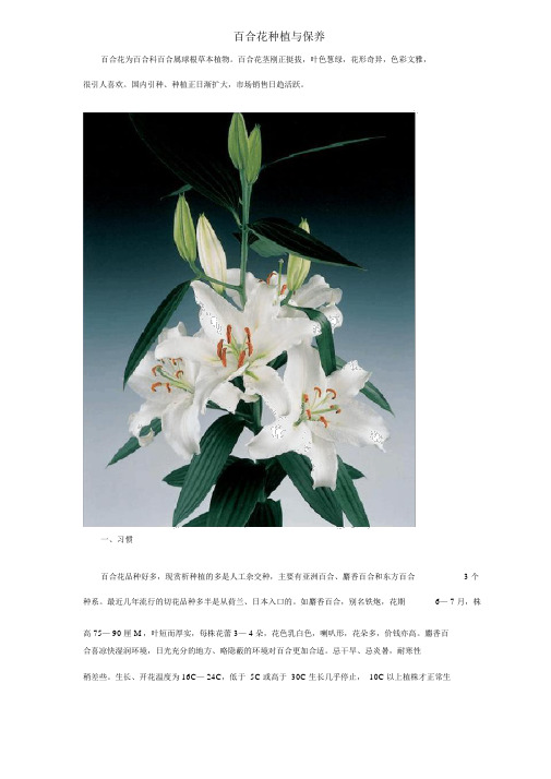 百合花栽培与养护技