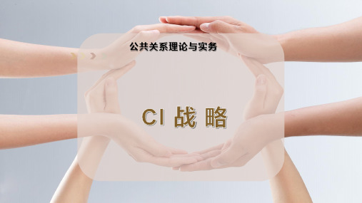 CI 战 略