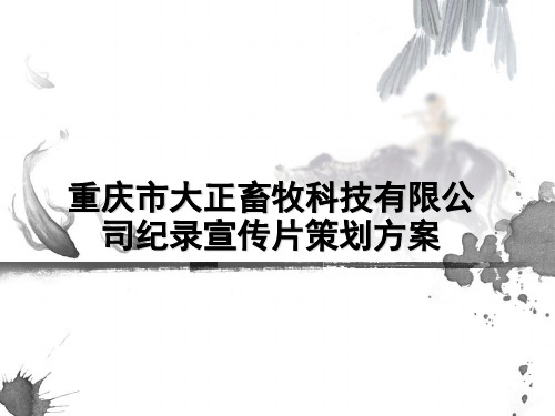 重庆市大正畜牧科技有限公司纪录宣传片策划方案