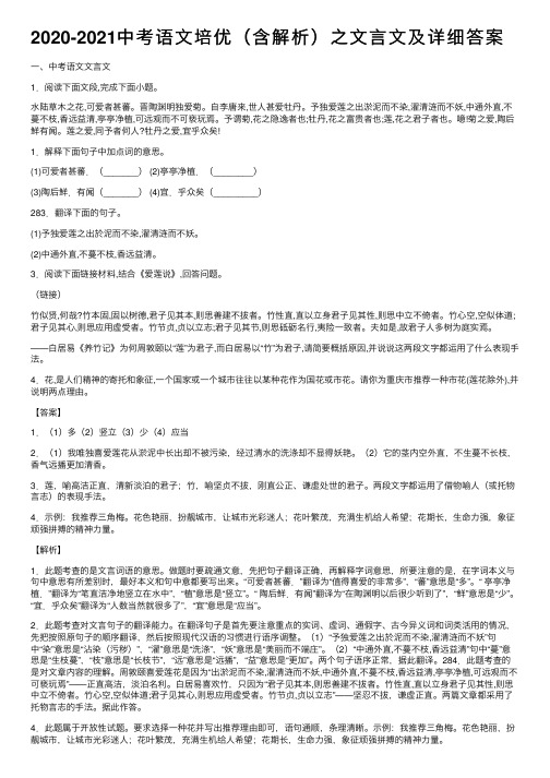 2020-2021中考语文培优（含解析）之文言文及详细答案