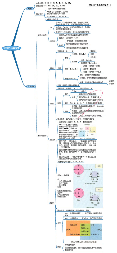 细胞的化学组成