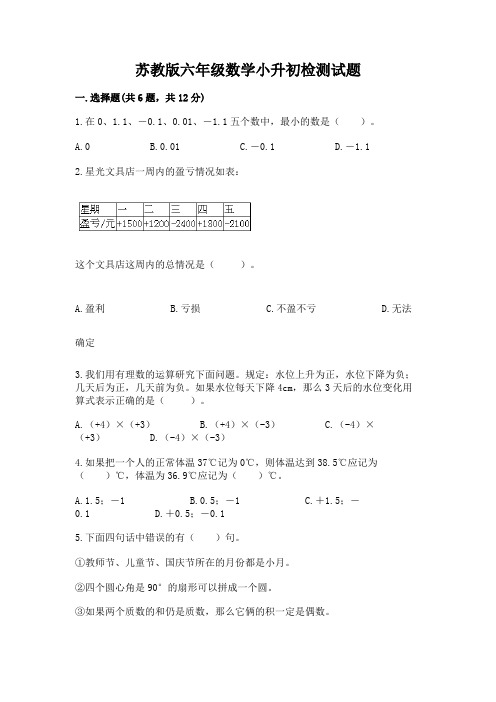 苏教版六年级数学小升初检测试题附参考答案【轻巧夺冠】