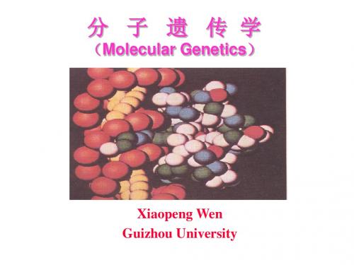 分子遗传学 第一章