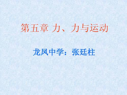 初三中考物理总复习重点精品课件：第五章力、力与运动