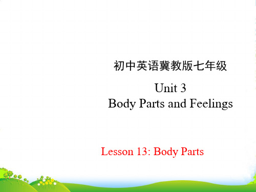 冀教版七年级英语上册 Unit 3 Lesson 13《Body Parts》(共17张PPT)