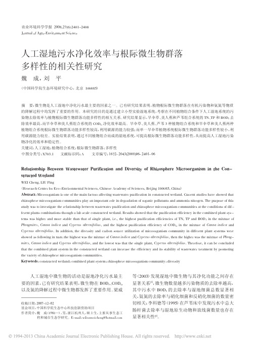 人工湿地污水净化效率与根际微生物群落多样性的相关性研究