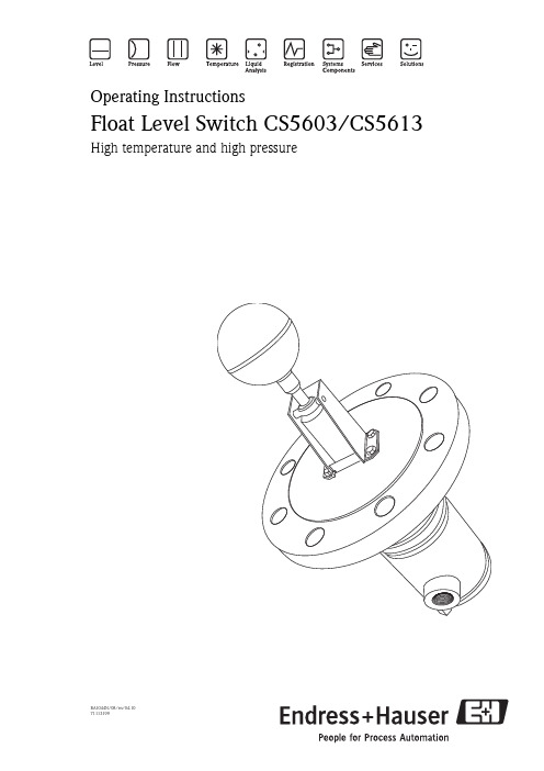 Endress+Hauser 高温高压浮动水位传感器CS5603 CS5613操作说明书