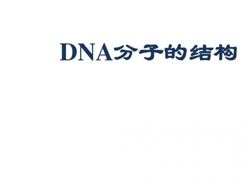 人教版高中生物必修二 DNA分子的结构 名师公开课省级获奖课件(22张)