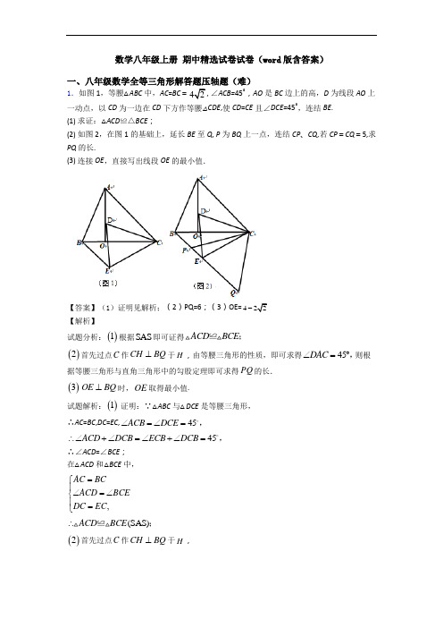 数学八年级上册 期中精选试卷试卷(word版含答案)