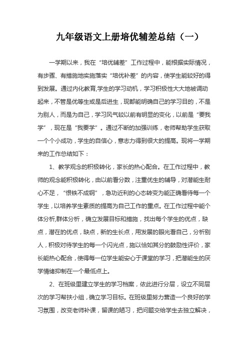 2021-2022九年级语文上册培优辅差总结(三篇)