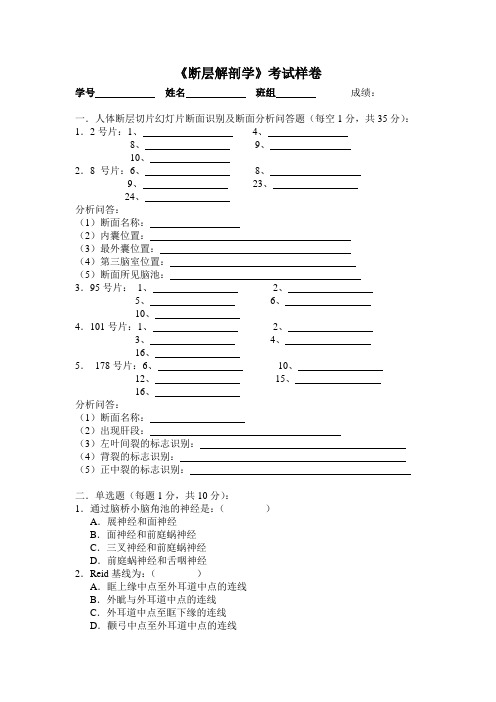 断层解剖学考试样卷