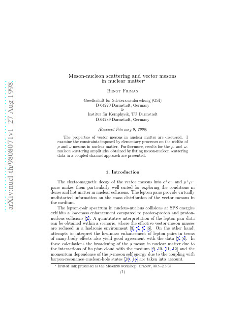 Meson-nucleon scattering and vector mesons in nuclear matter