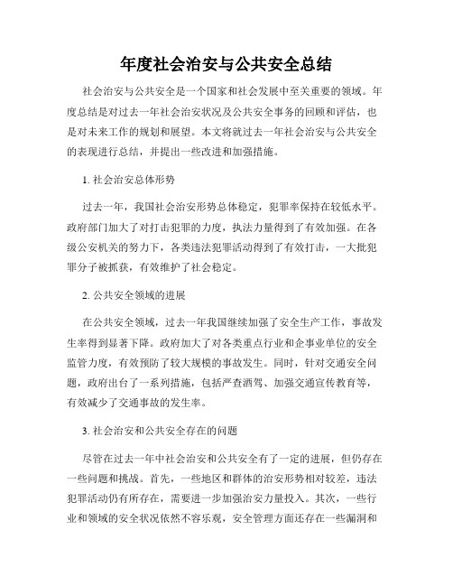 年度社会治安与公共安全总结