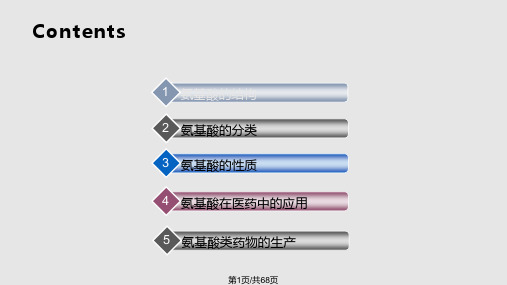 氨基酸类药物PPT课件