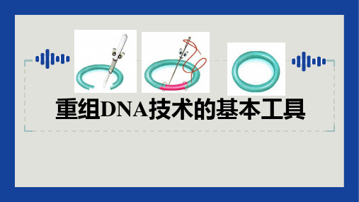 重组DNA技术的基本工具