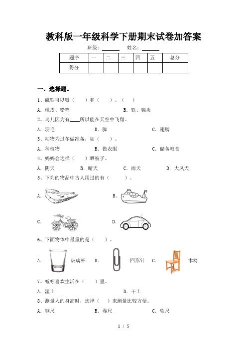 教科版一年级科学下册期末试卷加答案