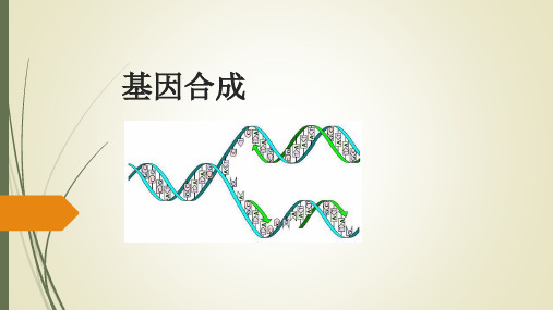 基因合成相关流程简介