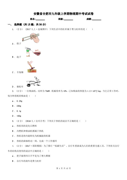 安徽省合肥市九年级上学期物理期中考试试卷