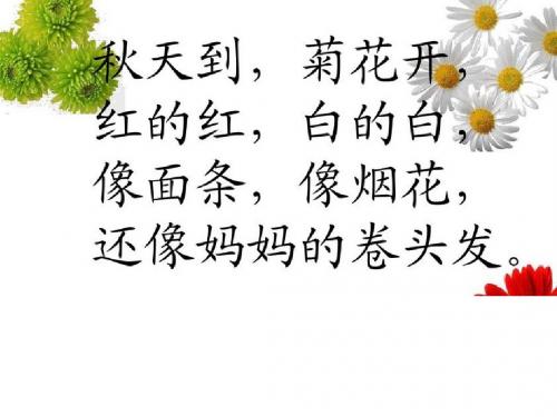 2016新修改版苏教版一年级《看菊花》课件