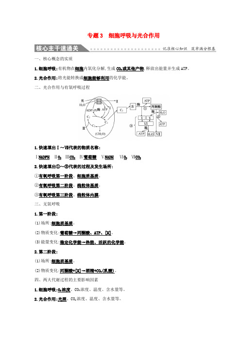 2019版高考生物二轮复习 专题三 细胞呼吸与光合作用自查学案