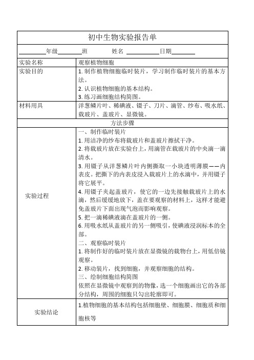 观察植物细胞实验报告-2024--2025学年人教版生物七年级上册