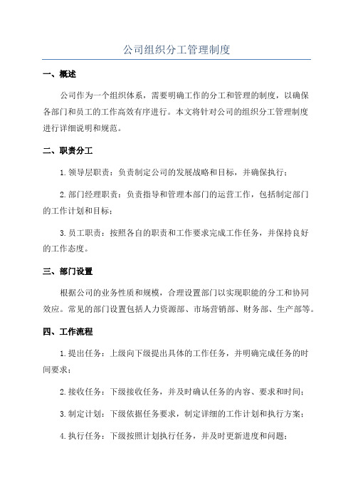 公司组织分工管理制度