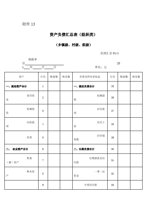 2018-附件13-资产负债汇总表(镇-村-组)