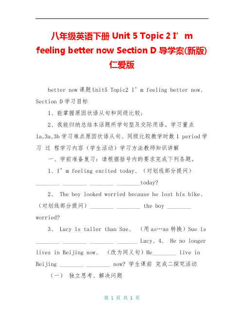 八年级英语下册 Unit 5 Topic 2 I’m feeling better now Section D导学案(新版)仁爱版 