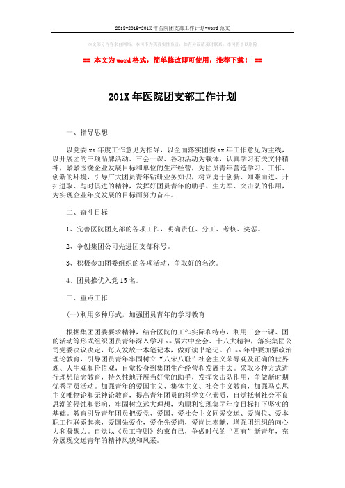 2018-2019-201X年医院团支部工作计划-word范文 (2页)