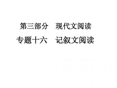 中考语文复习专题16 记叙文阅读课件 人教新课标版