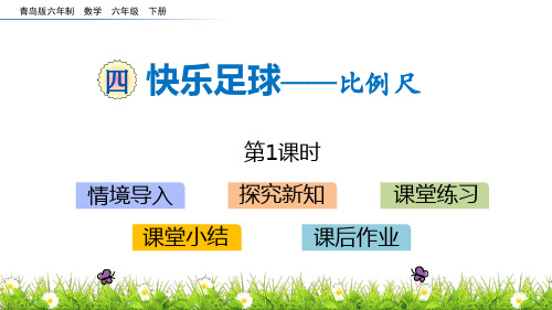 青岛版六年级下册数学《快乐足球》PPT教学课件