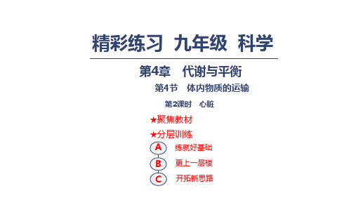 浙教版九年级上册科学课件：4.3.2心脏