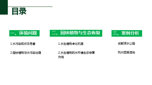 植物生态学汇报园林植物在治理水污染中的应用ppt课件