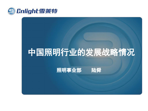 中国照明行业的发展战略情况-PPT文档资料