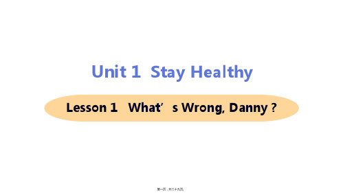 新冀教版九年级全一册英语Lesson 1 what's wrong, Danny课件