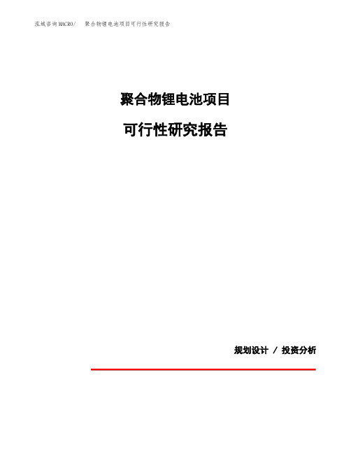 聚合物锂电池项目可行性研究报告