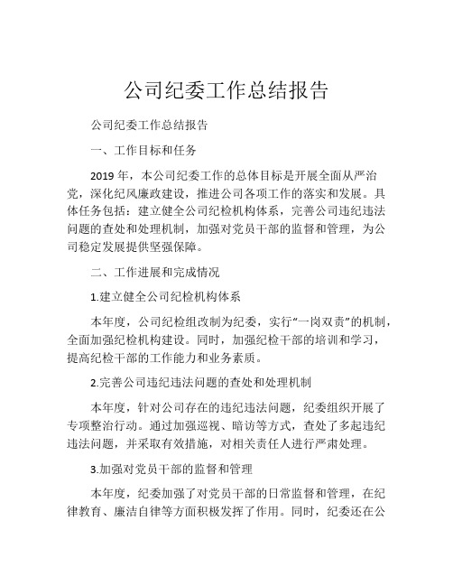 公司纪委工作总结报告