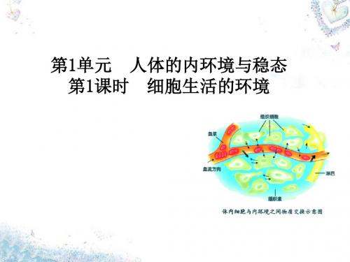 2015高中生物 1.1细胞生活的环境课件 新人教版必修3