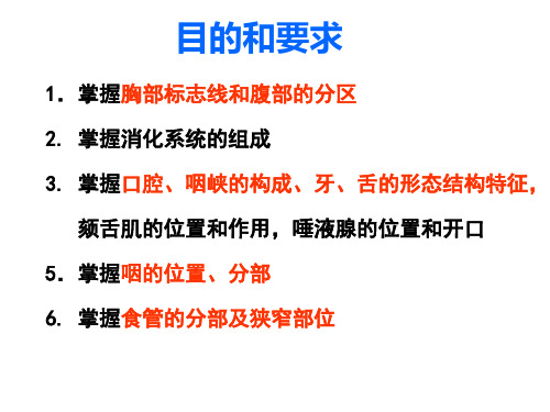 《系统解剖学》教学资料 双语庞磊内脏总论消化一-41页精选文档