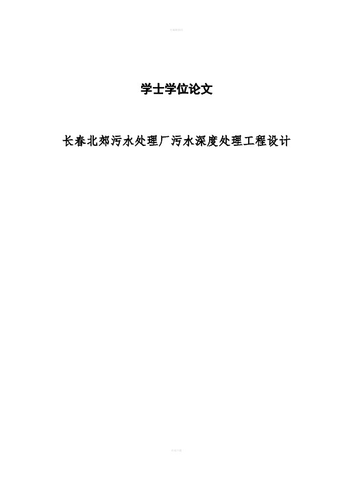 污水处理厂污水深度处理工程设计学士学位