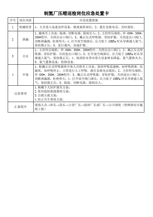 制氢厂应急处置卡模板