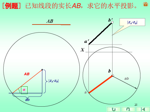 直线的投影复习题