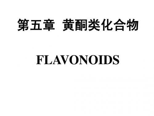 6.黄酮类化合物FLAVONOIDS